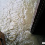 Foto005