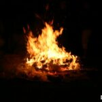 IMG_9571