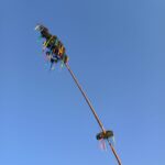 IMG-20250505-WA0063
